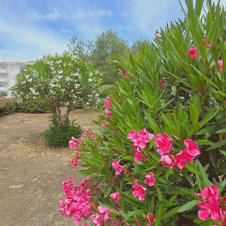 Praia Eulalia With Pool And 5 Minutes From The Beach アルブフェイラ エクステリア 写真