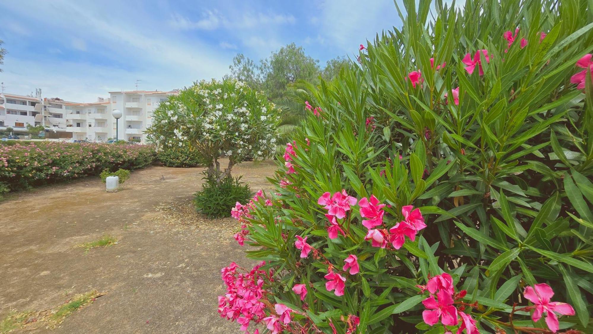 Praia Eulalia With Pool And 5 Minutes From The Beach アルブフェイラ エクステリア 写真