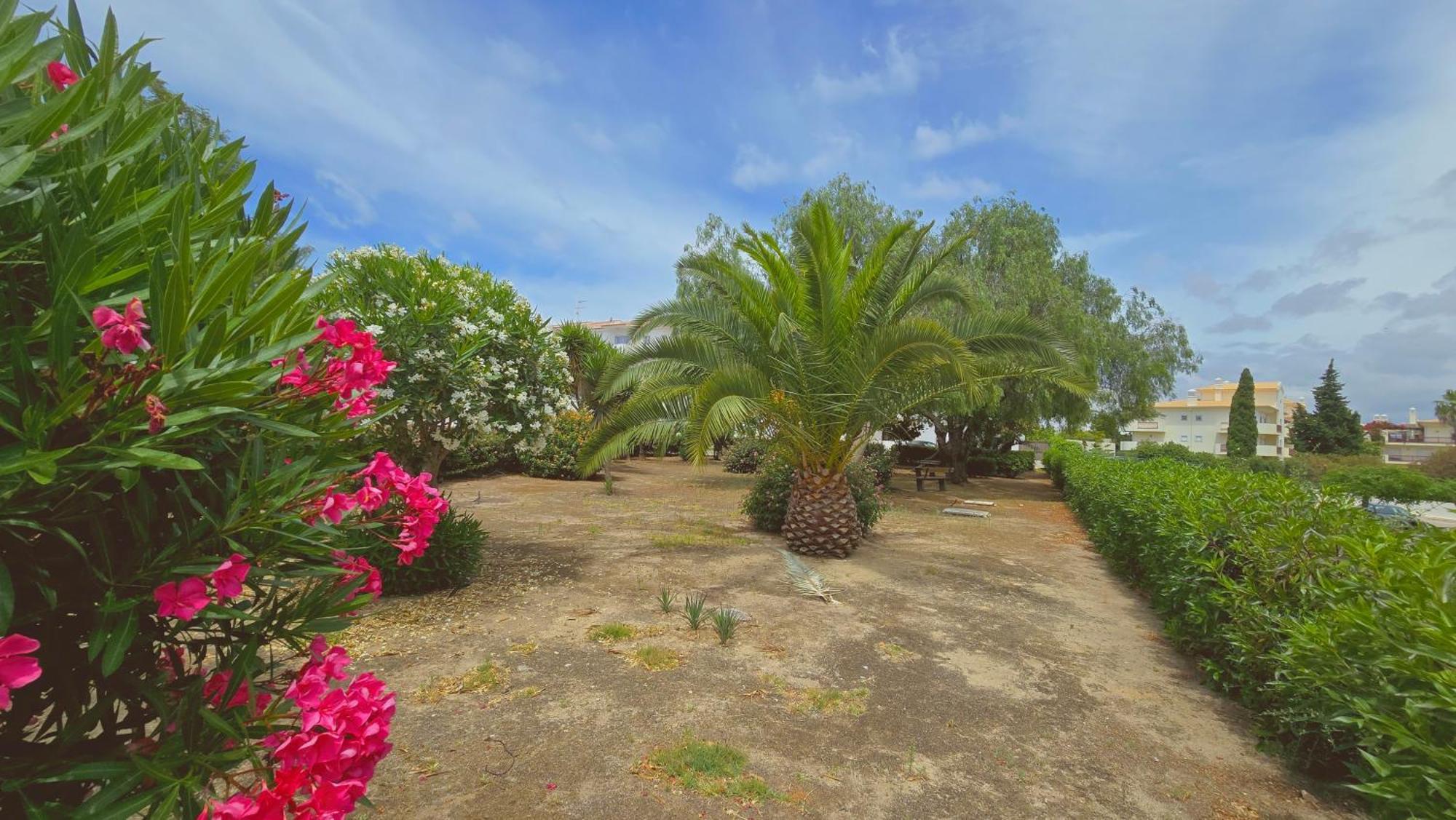 Praia Eulalia With Pool And 5 Minutes From The Beach アルブフェイラ エクステリア 写真
