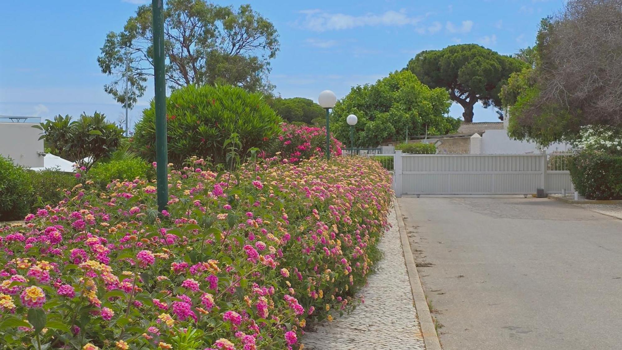 Praia Eulalia With Pool And 5 Minutes From The Beach アルブフェイラ エクステリア 写真